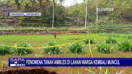 Geger! Tanah Ambles Sebabkan Lubang Besar di Gunungkidul