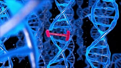 Les OGM dans l'agriculture