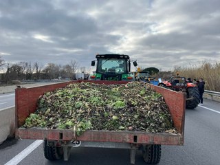 Colère des agriculteurs : "Dans le sud, on regarde passer les trains d'importation" selon cet ancien maraicher