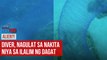 Alien?! – Diver, nagulat sa nakita niya sa ilalim ng dagat | GMA Integrated Newsfeed