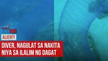 Alien?! – Diver, nagulat sa nakita niya sa ilalim ng dagat | GMA Integrated Newsfeed