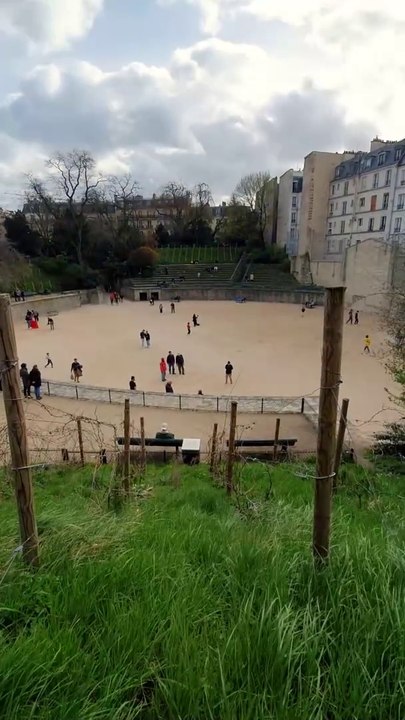 Les Arènes de Lutèces - Professeur Pin