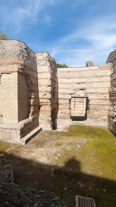 Les Thermes de Cluny - Professeur Pin