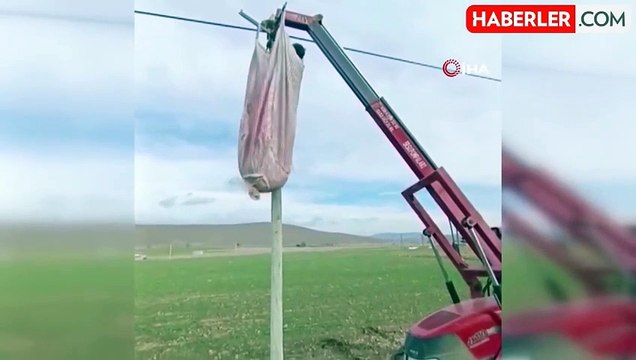 Telefon direğine mahsur kalan kediyi köylüler kurtardı