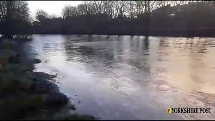 Storm Jocelyn's rain rises levels at River Wharfe, Ilkley