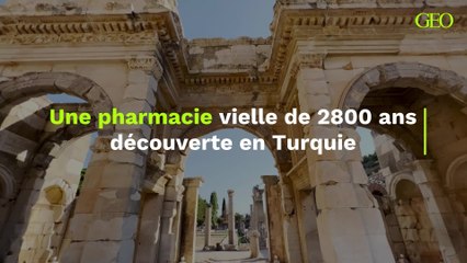 Une "zone de production pharmaceutique" vieille de 2 800 ans découverte en Turquie