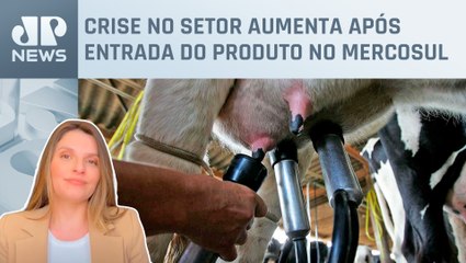 Kellen Severo: Brasil importa maior volume de leite em 20 anos