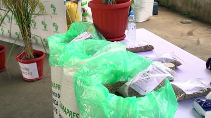 US Secretary of State Blinken visits the Africa Rice Center in Abidjan