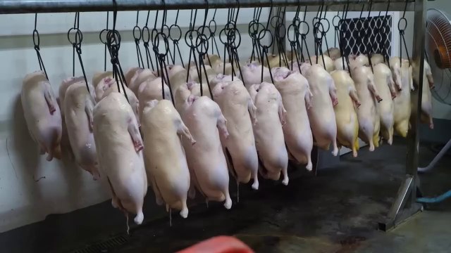 crispy skin roast duck! Peking Duck food - Taiwanese Street Food