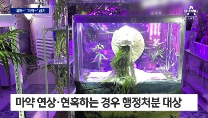 ‘대마커피, 마약떡볶이’ 7월부터 못 쓴다