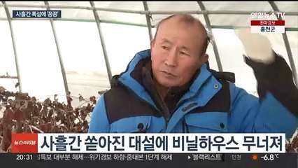 Télécharger la video: 33㎝ 폭설에 비닐하우스 폭삭…'마비' 제주공항 운항 재개