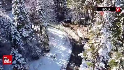 Bolu'nun doğa harikalarında kış güzelliği