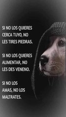 * La Felicidad en tus Manos: Levanta a un Angelito y Siente la Magia