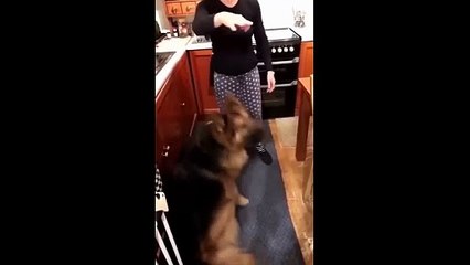 The end  #viral #shorts #fails #funny #mmvfunny (12)_2