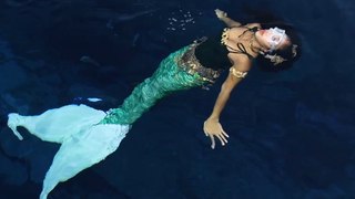 International Mermaid Competition Sees Contestants Perform Alongside Fish in an Aquarium
