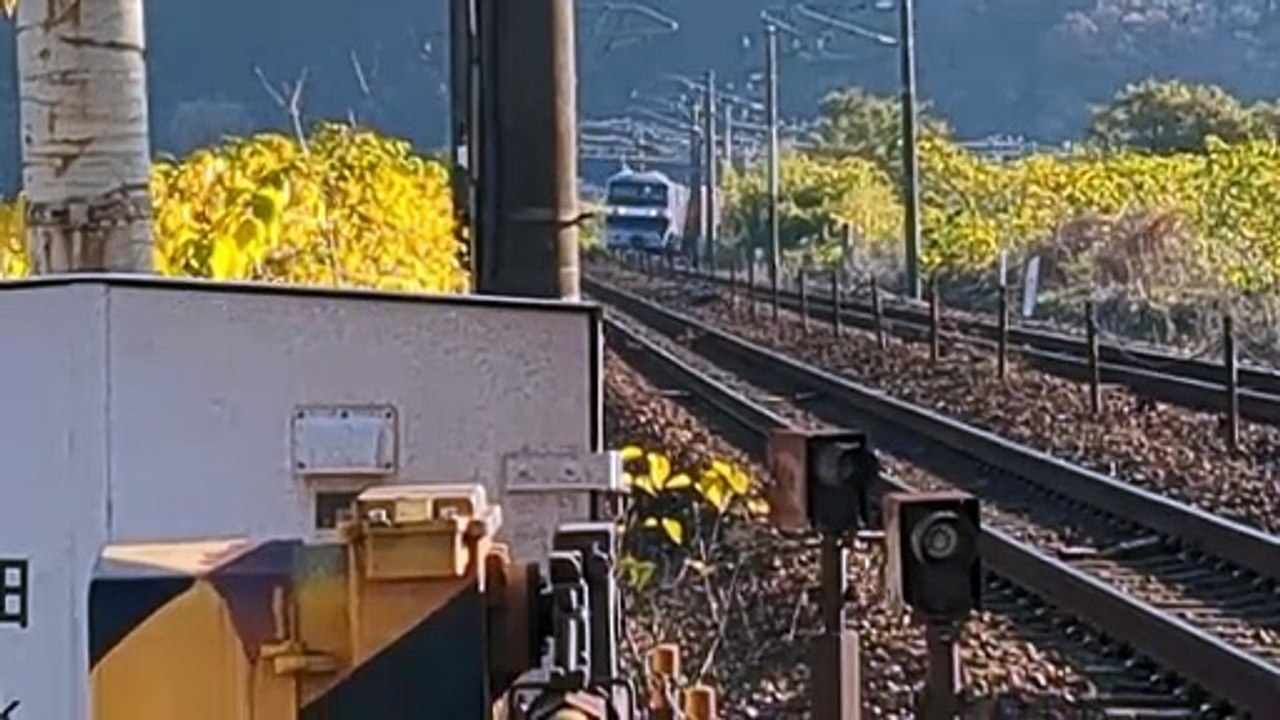 PXL_20231125_085323 63列車・63レ Train 63, 63 re.