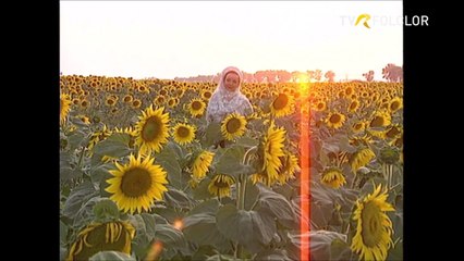 Floarea Calota - Asa cu drag mi-a cazut (arhiva TVR)