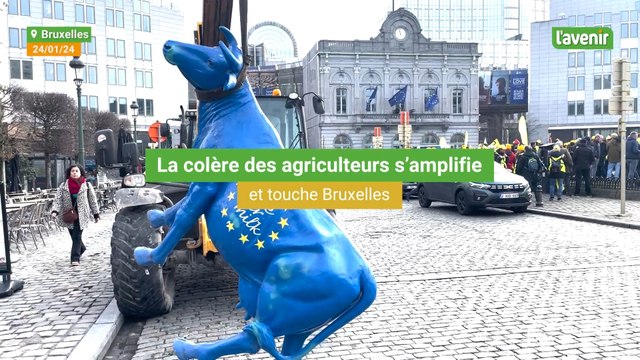 La colère des agriculteurs s'amplifie et touche Bruxelles Intervenant: Patrick Legras, responsable Grande culture Coord