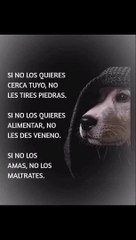 * Decodificando el Lenguaje del Amor: Entiende cómo los Angelitos Piden Ayuda