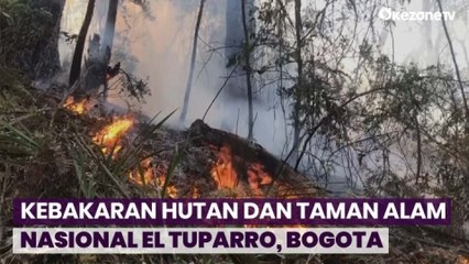 Akibat Fenomena El Ni?o, 4,5 Hektar Hutan Lindung Terbakar di Bogota