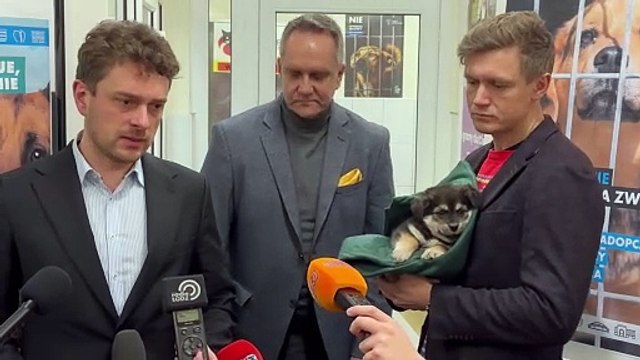 Zmiany w Schronisku dla zwierząt w Łodzi