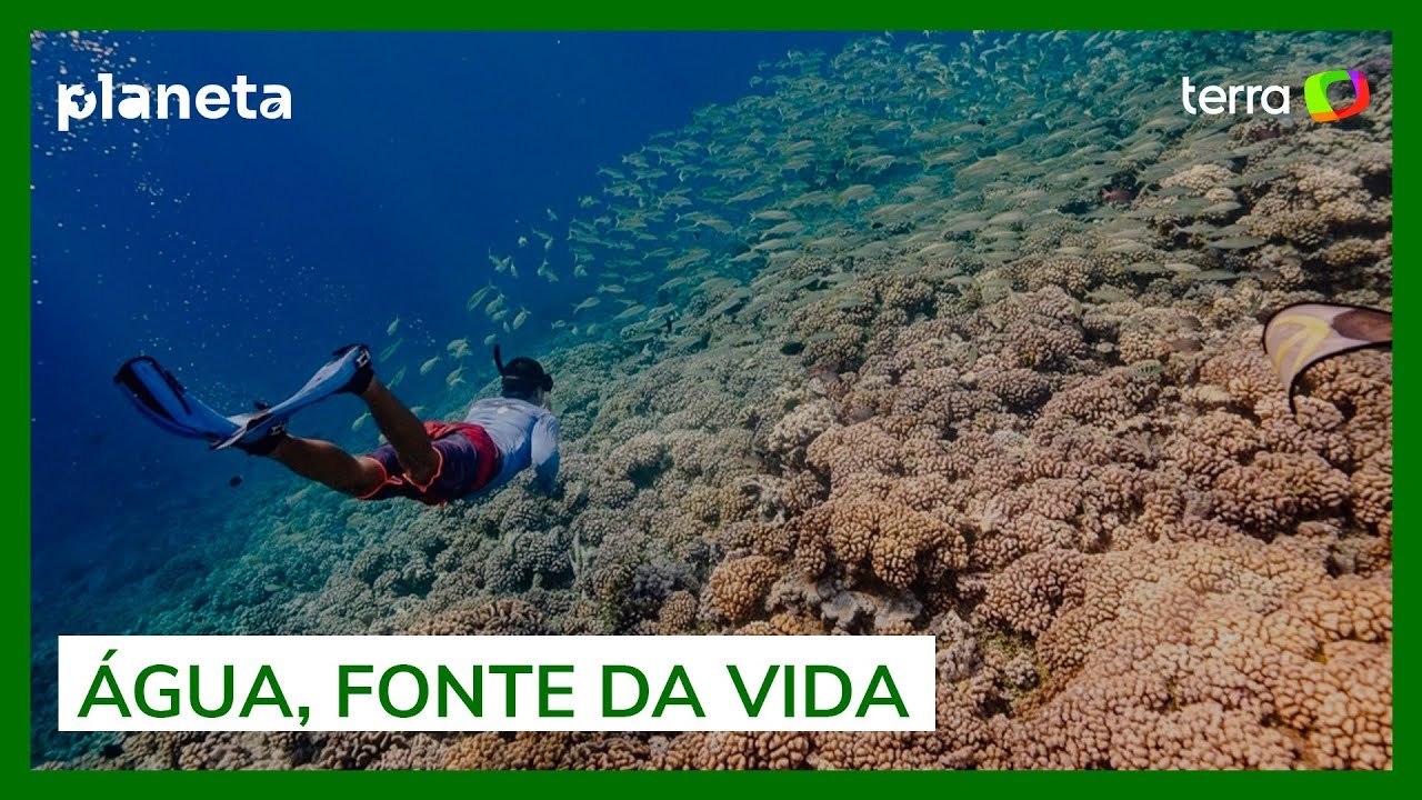 Como a água molda a nossa existência