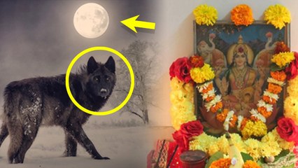 Paush Purnima 2024: पौष पूर्णिमा को Wolf Moon क्यों कहते है, Meaning & Reason | Boldsky