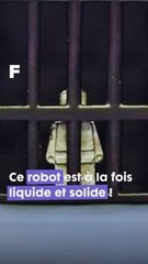 Ce robot peut sortir d'une cage en étant à la fois solide et liquide !
