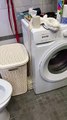 Washing Machine Neatly Stacks Toilet Paper