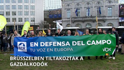 Az EU zöldpolitikája és a szabadkereskedelmi egyezmények ellen tiltakoztak a termelők Brüsszelben