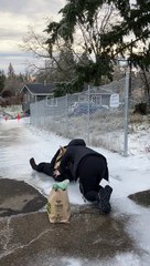 Portlanders Slide Down Icy Drive Way to Protect Their Groceries