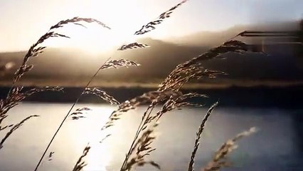 Relax To The Quran - Surah Al-asr Will Help You Relax And Feel At Peace.