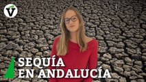 Andalucía en crisis por la sequía: las restricciones que amenazan a las grandes ciudades