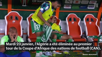 Algérie la colère des supporteurs