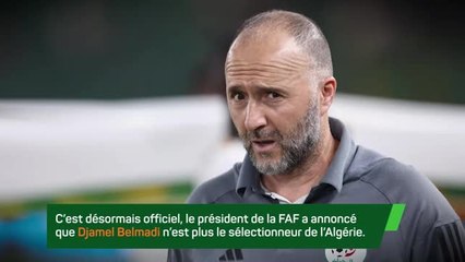 Algérie : Djamel Belmadi N’est Plus le Sélectionneur 🇩🇿