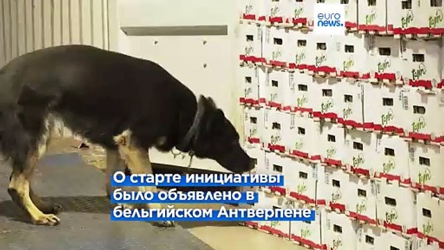 Европейский портовый альянс для борьбы с наркоторговлей