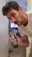 Dogs Love Their Cartoons