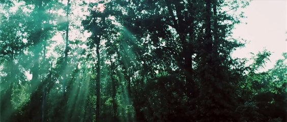 Mississippi Damned Bande-annonce (EN)