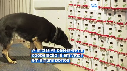 UE ao lado dos portos europeus na luta contra a droga