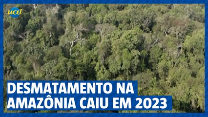Desmatamento na Amazônia caiu em 2023