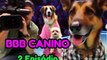 EP-2 Big Brother Brasil 2024 Canino 