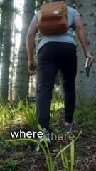 “Ignite the Inner Flame: The Key to Success and Happiness”