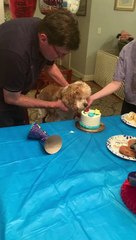 Jasper Decides He Can Have His Cake and Eat it Too