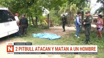 pitbull atacan y matan a un hombre