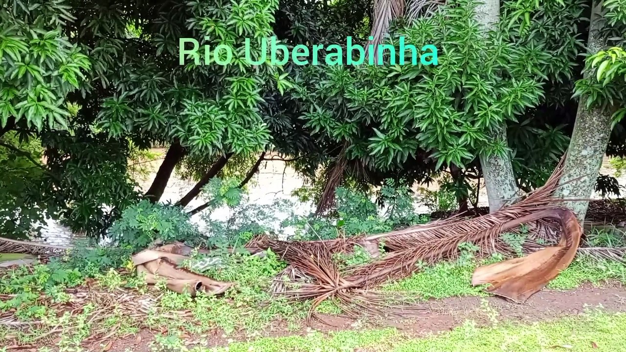 Rio Uberabinha