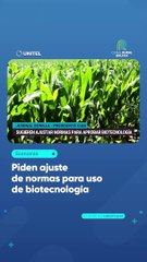 Piden ajuste de normas para uso de biotecnología