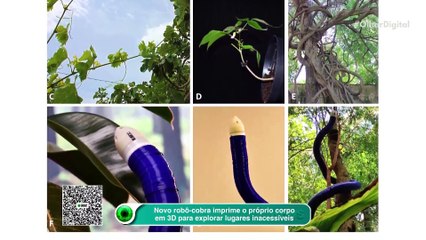 Novo robô-cobra imprime o próprio corpo em 3D para explorar lugares inacessíveis