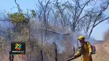 tn7-Bomberos-tienen-dos-días-luchando-contra-incendio-forestal-en-Santa-Cruz-240124