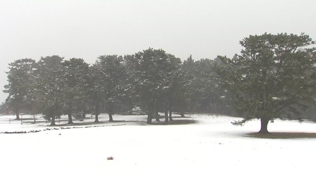 [날씨] 막바지 강추위, 서울 -9.7℃...내일 낮부터 누그러져 / YTN