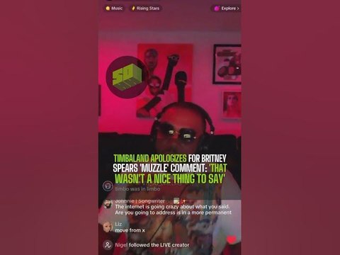 Timbaland Apologizes For Britney Spears 'Muzzle' Comment: 'That Wasn't A Nice Thing To Say'